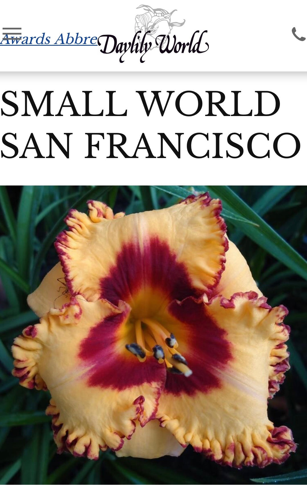 Small World San Francisco