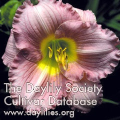 Pastures of Pleasure (AHS Daylily Database)
