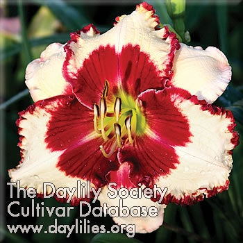Bullfrog Kisses (AHS Daylily Database)
